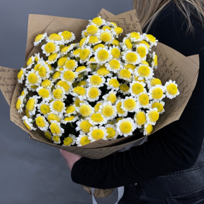 Букет "Моё солнышко" из 11 хризантем сантини  в Егорьевске
