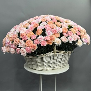 Композиция в корзине из 251 диантуса микс в Егорьевске