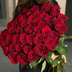 Букет 51 роза Эквадор Эксплорер (60 см) в Егорьевске