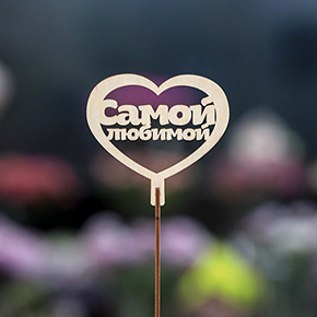 Топпер Самой Любимой в Егорьевске