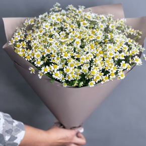 Букет из 17 ромашек танацетум в Егорьевске