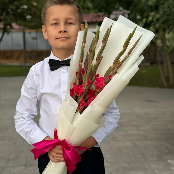 Букет на 1 сентября из 7 малиновых гладиолусов в Егорьевске