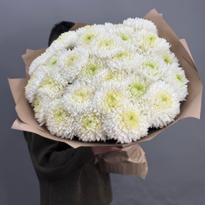 Букет из 27 хризантем Магнум в Егорьевске