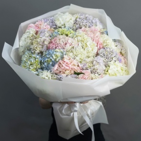 Букет из 23 гортензий микс в Егорьевске