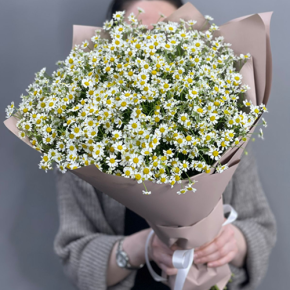Букет из 17 полевых ромашек в Егорьевске