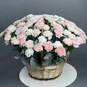Композиция в корзине из 101 диантуса микс в Егорьевске