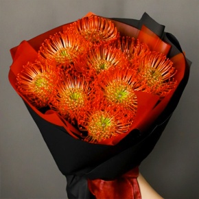 Букет из 9 лейко в Егорьевске