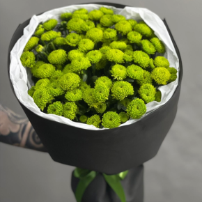 Стильный букет "Лайм" из 15 хризантем сантини в Егорьевске