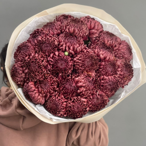 Букет 21 шоколадной хризантемы Бигоуди в Егорьевске