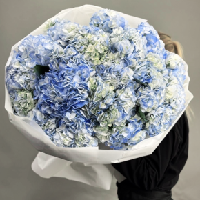 Букет из 23 синих гортензий в Егорьевске
