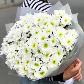 Букет "Лаймовый" из 15 кустовых хризантем в Егорьевске