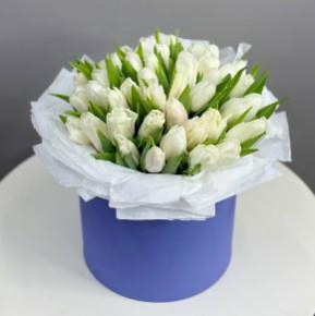 Букет из 49 белых тюльпанов в синей коробке в Егорьевске