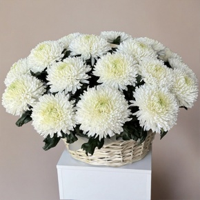 Композиция в корзине из 25 хризантем Магнум в Егорьевске