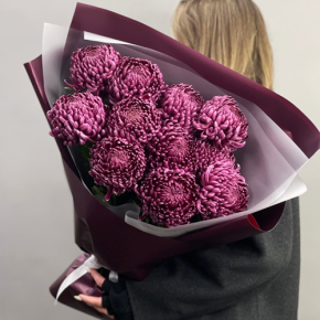 Букет "Изобилие" из 11 винных хризантем Бигоуди в Егорьевске