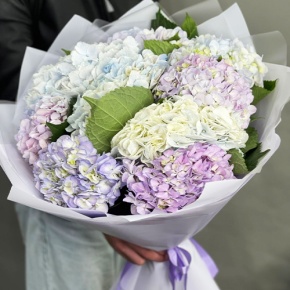 Букет из 9 Голландских гортензий микс в Егорьевске