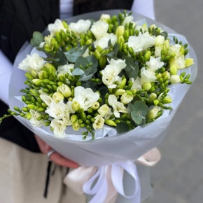 Букет из 51 белой фрезии в Егорьевске