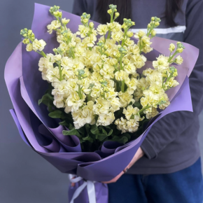 Букет из 15 лимонных маттиол в Егорьевске