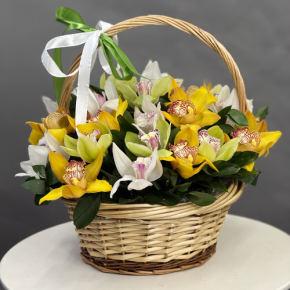 Композиция в корзине из 25 орхидей микс в Егорьевске