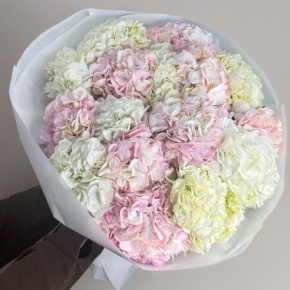 Букет из 17 нежных гортензий в Егорьевске