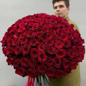 Букет из 101 красной Эквадорской розы Эксплорер (70 см) в Егорьевске