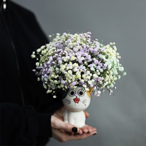 Композиция из гипсофил в керамическом кашпо в Егорьевске