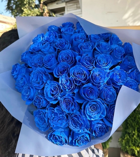 Букет из 51 синей розы Эквадор (60 см) в Егорьевске