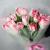 Букет "Фламинго" из 11 пионовидных тюльпанов в Егорьевске Букет "Фламинго" из 11 пионовидных тюльпанов в Егорьевске
