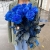 15 синих LUX роз Эквадор (70 см) в Егорьевске