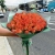 Букет из 51 мандариновой розы (40 см) в Егорьевске Букет из 51 мандариновой розы (40 см) в Егорьевске
