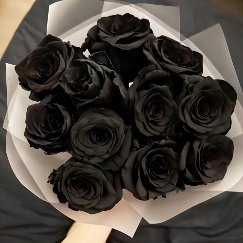 Букет "Черная королева" из 11 черных роз Эквадор (60 см) в Егорьевске