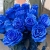 15 синих LUX роз Эквадор (70 см) в Егорьевске