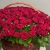 Композиция в корзине из 151 красной розы в Егорьевске