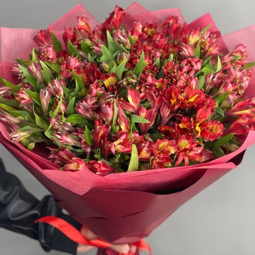 Монобукет из 25 красных альстромерий в Егорьевске