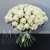 Букет 75 белых роз Эквадор Мондиаль (80 см) в Егорьевске