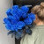 15 синих LUX роз Эквадор (70 см) в Егорьевске