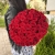 Букет 51 красной розы 50 см в Егорьевске