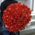 Букет 101 коралловая роза (60 см) в Егорьевске Букет 101 коралловая роза (60 см) в Егорьевске