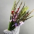 Букет из 25 гладиолусов микс в Егорьевске Букет из 25 гладиолусов микс в Егорьевске