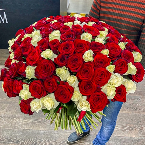 Букет 151 роза красный и белый микс (60 см) в Егорьевске