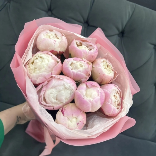 Букет из 9 нежных пионов Гардения в Егорьевске