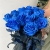 15 синих LUX роз Эквадор (70 см) в Егорьевске