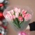Букет "Фламинго" из 11 пионовидных тюльпанов в Егорьевске Букет "Фламинго" из 11 пионовидных тюльпанов в Егорьевске