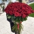 Букет из 101 красной розы (90 см) в Егорьевске