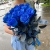 15 синих LUX роз Эквадор (70 см) в Егорьевске