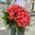 Букет 51 роза коралл (60 см) в Егорьевске Букет 51 роза коралл (60 см) в Егорьевске