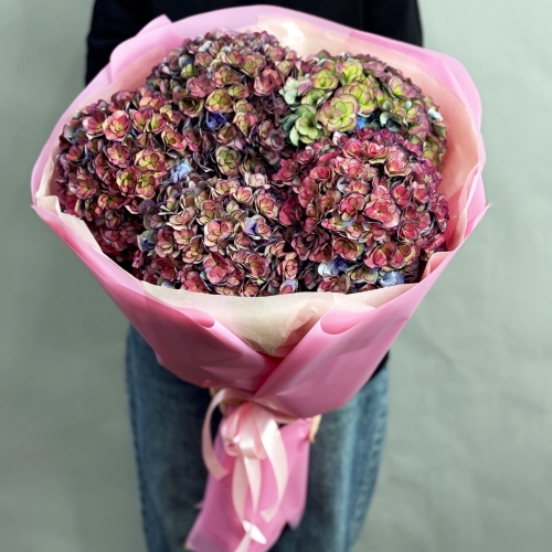 Букет из 5 космических Голландских гортензий в Егорьевске