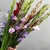 Букет из 25 гладиолусов микс в Егорьевске Букет из 25 гладиолусов микс в Егорьевске