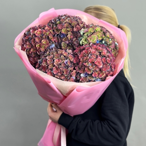 Букет из 5 космических Голландских гортензий в Егорьевске